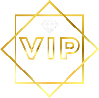 Logo VIP Agency